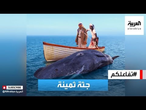 فيديو: لماذا يقفز سمك الحفش؟