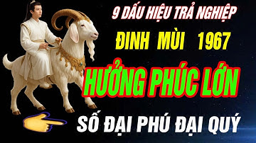 9 Dấu Hiệu Tuổi ĐINH MÙI 1967 Trả hết Nghiệp, Được Phật Chỉ Lối Nhận Phúc Báo Cuối Đời!