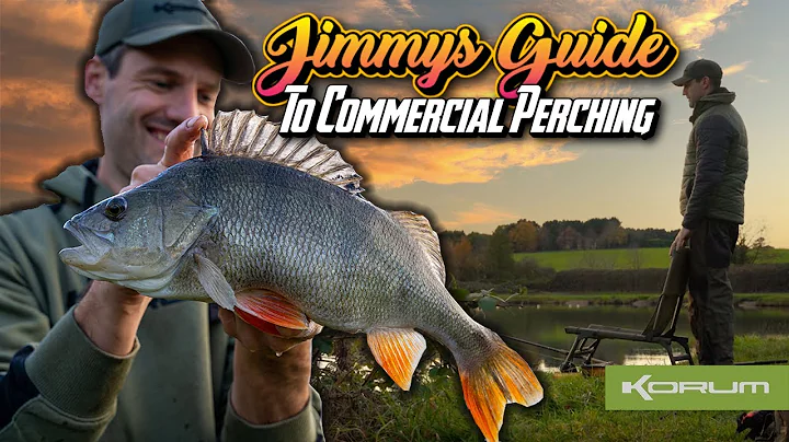 Commercial Perch Fishing  - #Korum #Perch #perchfi...