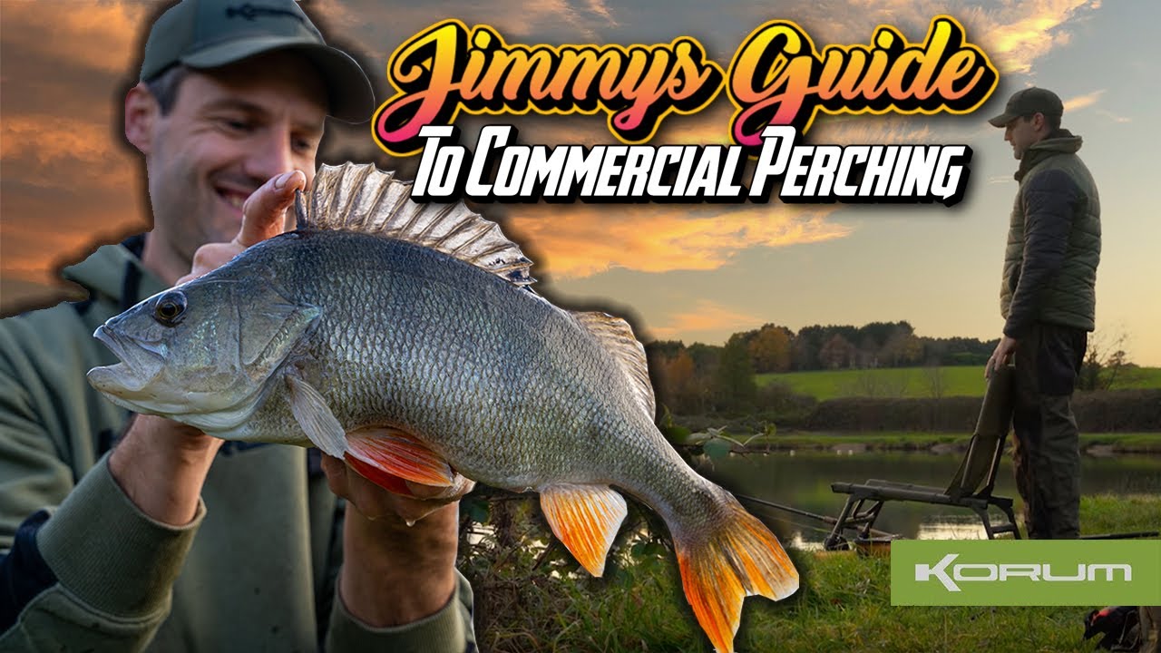 Руководство по коммерческой ловле окуня