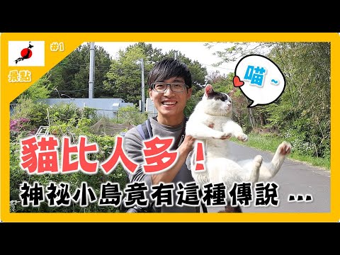 【日本｜宮城】貓比人多的秘境小島-田代島！宮城縣沿海 兩天一夜行程全攻略 (日本三景松島. 美食天堂鹽釜. 漫畫之城石卷)