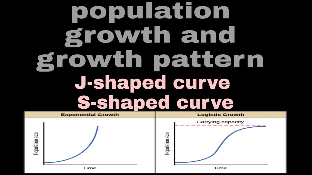 The S-shaped curve