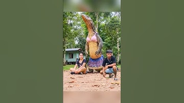 PART 17 VIRAL DANCE HARI JOSS KING OF FYP #shorts #harijoss #dance #funnyvideo #comedy #danceviral