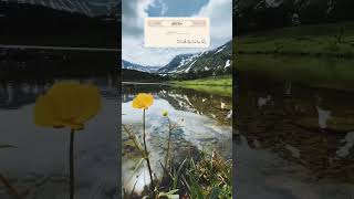 سورة الضحي القارئ حسن الواجدي#سورة_الضحي_القارئ_حسن_الواجدي#القران_الكريم#تلاوة_خاشعة#motivation💟