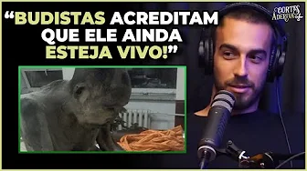 imagem do vídeo MONGE MEDITANDO FOI ENCONTRADO DEPOIS DE 200 ANOS | À Deriva Cortes