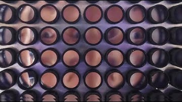 Imaging Across Multiple Spatial Scales with the Micro Camera Array Microscope