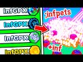 Equipping max crazy infinite stats admin pet in pet simulator x pet simulator z