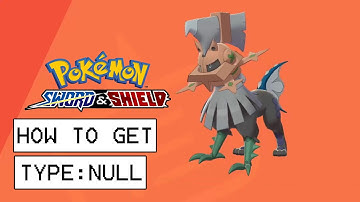 Pokemon Sword & Shield How To Get Type: Null