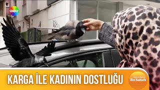 Kargadan dostluk dersi