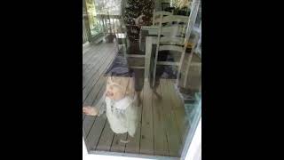 Autism: Window licker :)