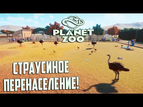 Видео: СТРАУСИНАЯ ФЕРМА - PLANET ZOO Франшиза #3