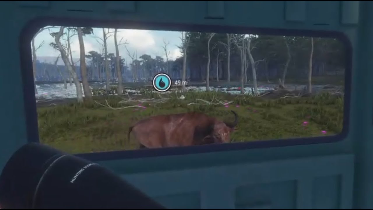 CotW Parque Fernando water buffalo hunt, including some very