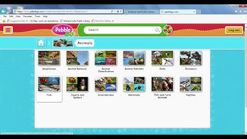 Introduction To Pebble Go