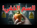 لماذا لا نرى الكاجو بقشره أبدا السر السام وراء ملكة المكسرات