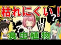 食虫植物、初心者さんはどれを買うべき？初めてでも枯らしにくいオススメの食虫植物！【食虫植物TV】