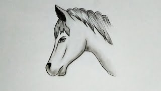 How To Draw Horse Drawing Step By Step Easy Pencil Drawing Easy Horse Head Drawing