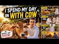 I Spend My Day With Cows 🐄 | Full Day Routine Vlog | Cow Mandi Vlog Pakistan 2026