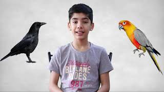 English Story For Kids | The Unhappy Crow | Moral Stories For Kids