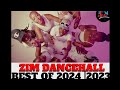 FREE Zimdancehall Riddim Instrumental 2026 POMBI RIDDIM Instrumental Type Beat Loud H Mbada