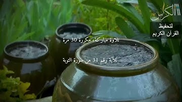الآية رقم 31 من سورة التوبة - مكررة 30 مرة