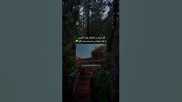 قرآن كريم - حالات واتس اب دينية - تلاوه تريح القلب 💙