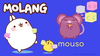 Learn Molang's ABC - M and G | More @Molang ⬇️ ⬇️ ⬇️