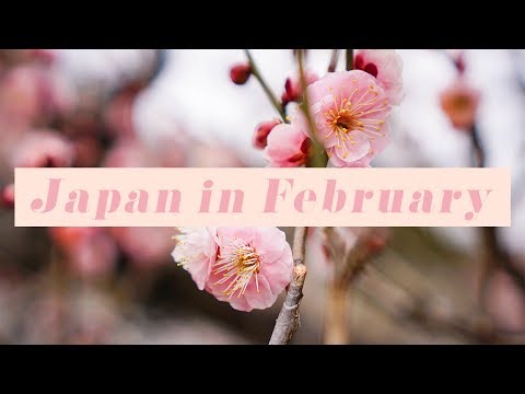 japan-in-february-2017