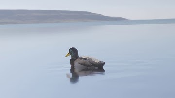 Blender Duck Animation