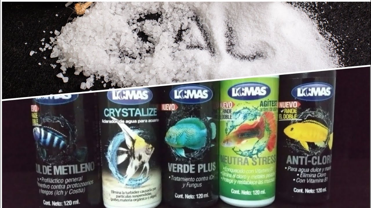 ¿SE ENFERMARON TUS PECES? DEJA DE USAR MEDICAMENTOS Y USA SOLO SAL