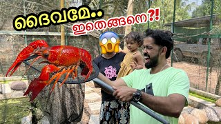 11,000- Rupees Worth Of Fish.. 10000- Rupees Worth Of Eggs Backyard Aviary Fishing Freaks