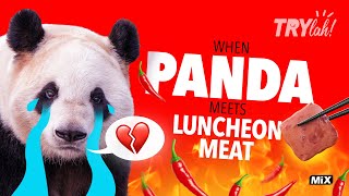 When Panda meets Luncheon meat! - A MIX Store Review, what's for lunch? TRYlah!