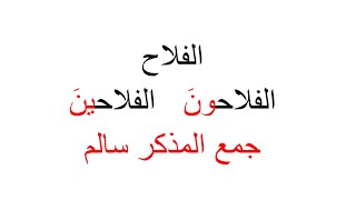 شرح جمع المذكر السالم صفحة 61 قواعد الصف الخامس الابتدائي