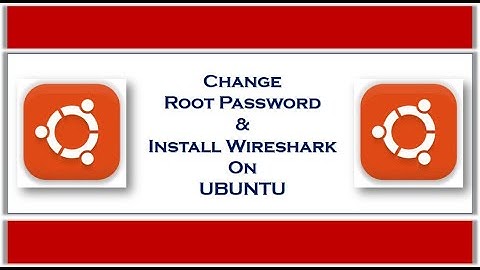 Capture UDP Socket Datagram in Wireshark.