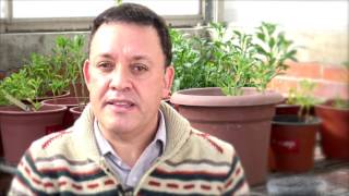 Innovación - Fomento De Las Legumbres, Andrés Schwember, Faif Uc