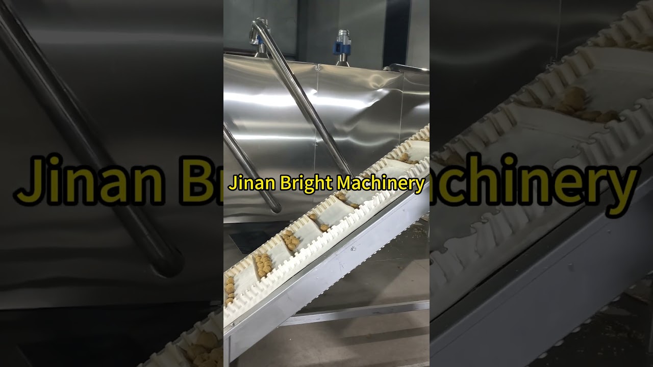 Soya tvp tsp protein Machine Test