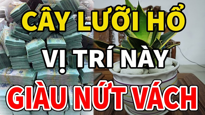 Đặt cây lưỡi hổ ở vị trí nào trong nhà năm 2024