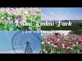      kasai rinkai park  music only with fews sub  tokyo japan    