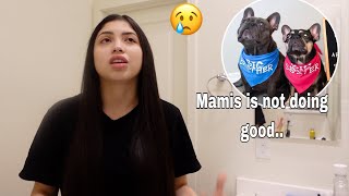 REHOMING OUR DOGS... + STRUGGLES WITH MOM GUILT | MOMMY VLOG