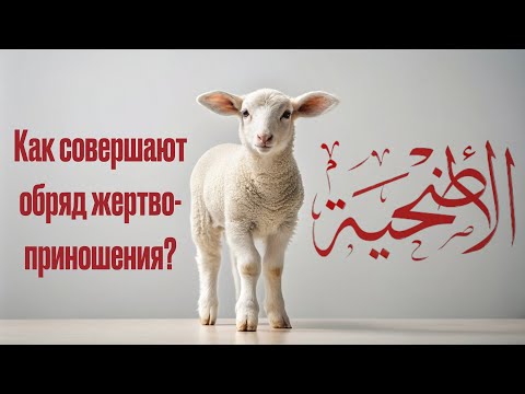 Как совершают обряд жертвоприношения? | Онлайн лекция | спикер Дамирджан Зайнутдинов