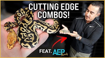 Fire Cypress Batman w/ Miguel Garcia