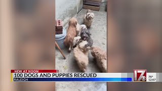 100+ dogs rescued from Raleigh home