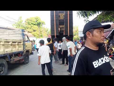 Lagu Sigar . Putra pa'i muda.