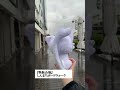 #マチアソビ ！いよいよ当日！会場はこちら！来てね！
