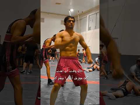 بسیاری از حرامزادگان میخواهند سقوط کنی حال وقت آن است که سوزش آنها را بیشتر کنی