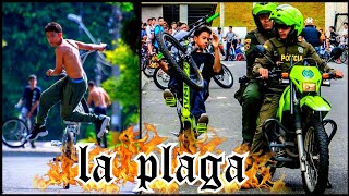 Lo Mejor De La Plaga 2021-2022 🔥🤘 @LAPLAGA