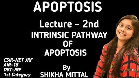 INTRINSIC PATHWAY OF APOPTOSIS - CSIR-NET JRF LIFESCIENCE