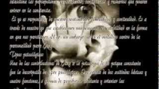 Teoría de Carl Jung