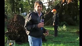Violento temporal en Entre Rios - Telefe Noticias