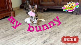 The Unlikely Friendship: Leopold the Cat and His Beloved Bunny by Animals and Friends 1,111 views 7 days ago 6 minutes, 44 seconds