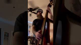 “Drunk Not Dead” by The Brains (Bass Cover) #uprightbass #psycobilly #basspractice